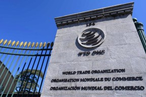 赛地聚焦：CBA季后赛今晨热度飙升，斯图加特遗憾出局，引发热议，资深球员宣示担当的简单介绍-球速登录入口